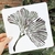 Stencil CupaHome "Linea Flex" 20x20| art1433