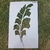 Stencil 30x50 Positivo GDE32