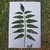 Stencil 20x30 Positivo G52 - comprar online