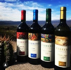 Vino Malbec - Bodega Febrero - comprar online