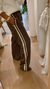 Imagen de Pantalon Forest
