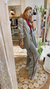 Pantalon Rebeca Rayado - PETITE MAISON
