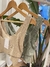 Top Carola - tienda online