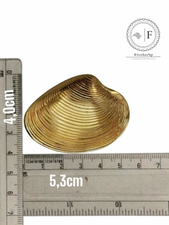 Fivela de biquíni modelo meia concha, com medidas de 5,3 cm de largura e 4 cm de altura, ao lado de uma régua para referência.