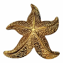 Fivela Metal Modelo Estrela àgua Cor Dourado Pacote com 6pçs