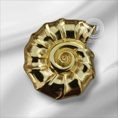 Fivela Metal Modelo Caracol cor Dourado pacote com 6pçs