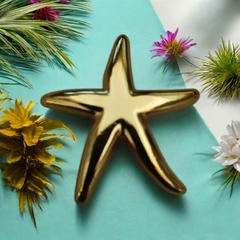 Fivela para Biquini Modelo Estrela Metal Cor Dourado Pacote com 6pçs