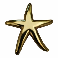 Fivela para Biquini Modelo Estrela Metal Cor Dourado Pacote com 6pçs
