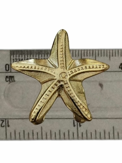 Fivela Biquini Modelo Estrela pequeno Metal Cor Dourado