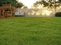 Césped Sintético Rollo 50m2