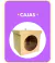 Banner de Bracarisol