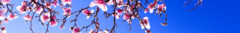 Banner de la categoría Primavera/Verano 
