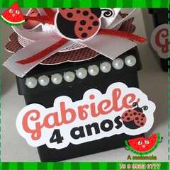 Caixa Acrílica com aplique 3d e laço Lady Bug na internet