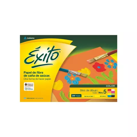 BLOCK DIBUJO Nº5 ÉXITO COLOR 24H LISO