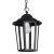 Farol Colgante de Exterior con Cadena FC-136N/T Ferrolux Negro Texturado - comprar online