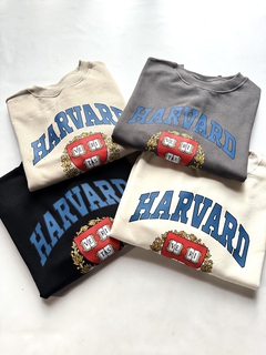 Buzo Harvard university en internet