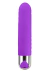 Vibrador Personal Recarregável com 12 Modos de Vibrações - comprar online