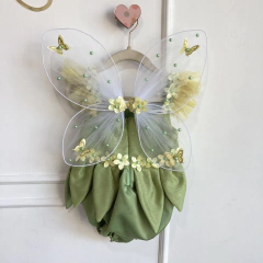 Kit sininho com asa e romper na internet