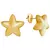 Imagem do Brinco Estrela Anis