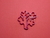 7044 Coral contorno