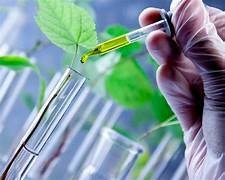 GRADUAÇÃO POR COMPETENCIA DE SABERES ADQUIRIDO NO MUNDO DO TRABALHO EM CIÊNCIAS BIOLOGICAS