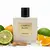 Cedrus Blanc - Rayhaan (Decant) - comprar online