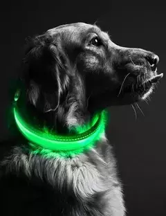 Collar con luz LED en internet