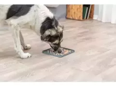 Alfombra para lamer cuadrada (grande) - tienda online