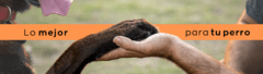 Banner de la categoría Sport