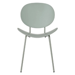Silla Beetle