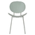 Silla Beetle