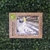BILLETERAS ECO-FRIENDLY - tienda online