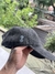 Cap Eighth co negro gastado (estampa gris acero) en internet
