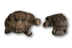 Tortuga De Resina Para Jardín Adorno Decoracion en internet