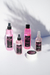 SANIT MIST 100ML en internet