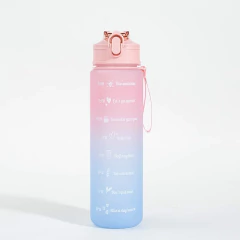 Botella motivacional 1 litro en internet