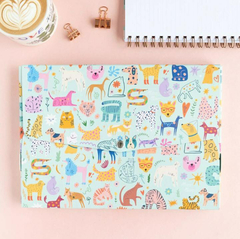 carpetas PINK ELEPHANT