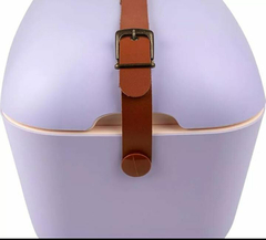 Conservadora retro Polarbox 20lts