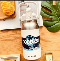 Termo botella coldest en internet