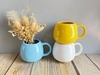 Taza bocha