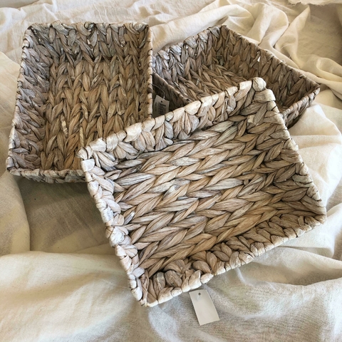 Bandeja Ocean Cod:M169 - comprar online