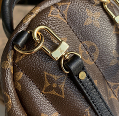 Imagem do Mochila LV Palm Springs Mini