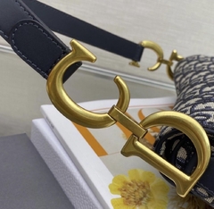 Dior Saddle Monogram na internet