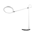Imagen de CUPIDO BLANCO