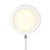CUPIDO BLANCO en internet