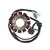 Estator Bobina Completo Yamaha Ybr 125 Brasil 12 Bobinas en internet