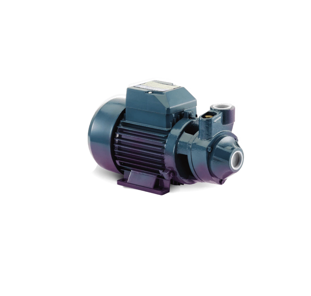 Bomba perifrica Pluvius QB60