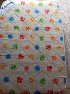 Practicuna Infanti - tienda online