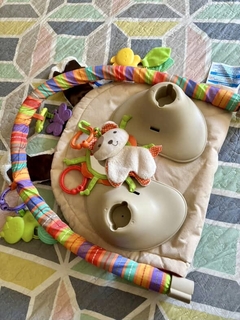 Imagen de Gimnasio Fisher Price