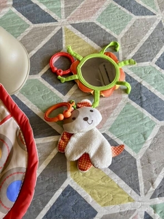 Gimnasio Fisher Price en internet